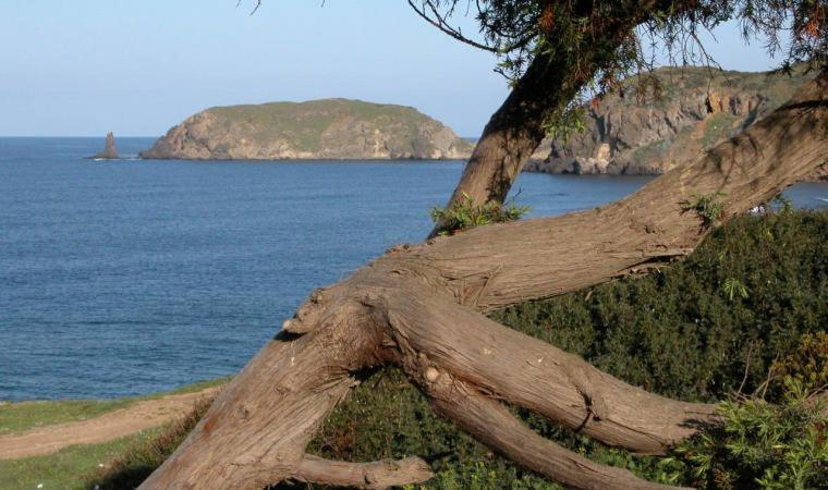 Appartamento In Casa Con Cortili Ad Arbus - Sardegna Екстер'єр фото